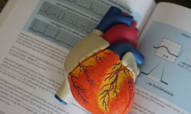 Electrocardiograph (ECG) interpretation