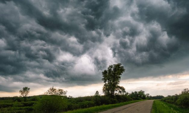 THUNDERSTORM ASTHMA